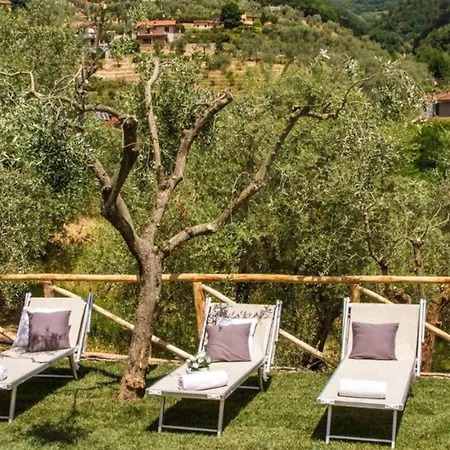 Podere Viola Villa *